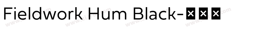 Fieldwork Hum Black字体转换